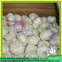 pure white garlic 5kg carton